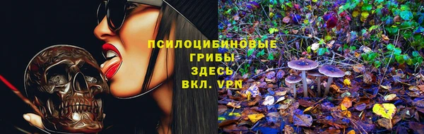 шишки Покровск