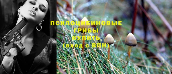 не бодяженный Покачи