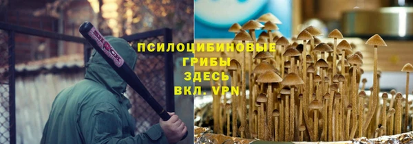 шишки Покровск